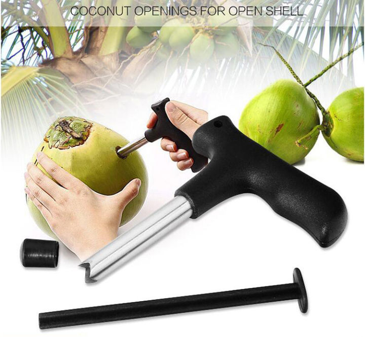 Dụng Cụ Khui Dừa Lấy Nước Tiện Lợi Siêu Nhanh - Cây Đục Lỗ Quả Dừa Nhỏ Gọn - Inox Loại 1 (đen)