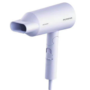 Flyco 1800W Anion Hair Dryer for Men Women Professional Foldable Portable Strong Wind Salon FC627/6277