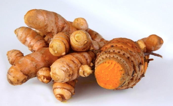 Rizom TEMULAWAK segar untuk ubat ataupun anak pokok | Lazada