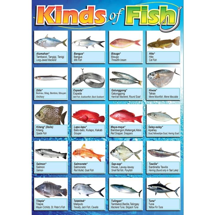 【COD】 KINDS OF FISH (MGA URI NG ISDA) EDUCATIONAL CHART FOR KIDS - A4