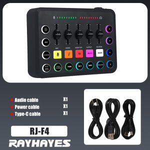 RAYHAYES Sound Card mixer With Microphon Bluetooth Reverb microphone condenser set for Live Streaming Singing Recording
