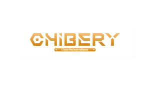 Chibery 2 Pack 1 Pairs 135 ° Lazy Susan Hinge Full Overlay Concealed for Corner Kitchen Cabinet Replacement Hardware Cupboard Folded Folden Door