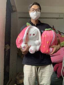 Gấu Bông Thỏ Trong Quả Dâu Thỏ Tai Dài Trong Củ Cà Rốt  Thỏ trái cây
