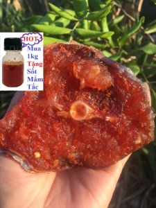 Khô Cá Rún Cắt Khoanh Gia Vị Tỏi Ớt Vừa Ăn - Hà Vy Foods - Khô Cá Gúng (TẶNG KÈM SỐT TẮC)