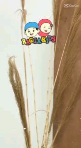 GAMIS DEWASA PUTIH RAGGAKIDS RGD52 BISA COUPLE DGN ANAK