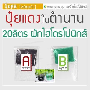 ปุ๋ย AB 20 ลิตร [ชนิดผง] ผักสลัด ปลูกผักไฮโดรโปนิกส์ (1:200)
