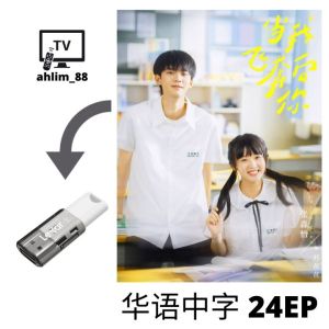 USB Flash Drive 大陆剧 独家童话 + 当我飞奔向你 + 医馆小传第一季 华语中字