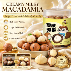 Jumbo Macadamia Nuts Milk Flavor Creamy Large Size Roasted Nut Snack Premium Quality Healthy Nuts Snack
