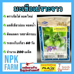 เจียไต๋ มะเขือเปราะจาว หมดอายุ 06/2569 จำนวน 200 เมล็ด/ซอง เมล็ดพันธุ์ ลอตใหม่ งอกดี สีเขียวอ่อน ทรงหยดน้ำ ติดผลดก รสชาติกรอบ ระยะเก็บเกี่ยว 60 วัน