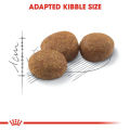 Royal Canin Sterilised Adult (2kg) Dry Makanan Kucing Dewasa. 