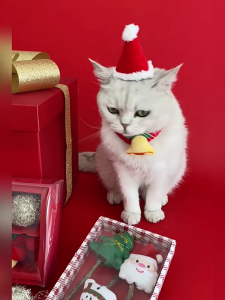 Giáng sinh mèo quả bóng phụ kiện đồ chơi bóng lông pompoms Mini Mũ giáng sinh cổ áo đồ chơi cho mèo file đính kèm bóng