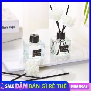 Tinh Dầu Thơm Phòng Thiên Nhiên BLACKROSE 50ml Hương Nước Hoa Để Phòng Giảm stress Khử Mùi Không Khí - Decor phòng ngủ bàn làm việc khử mùi ô tô màu trắng tinh tế
