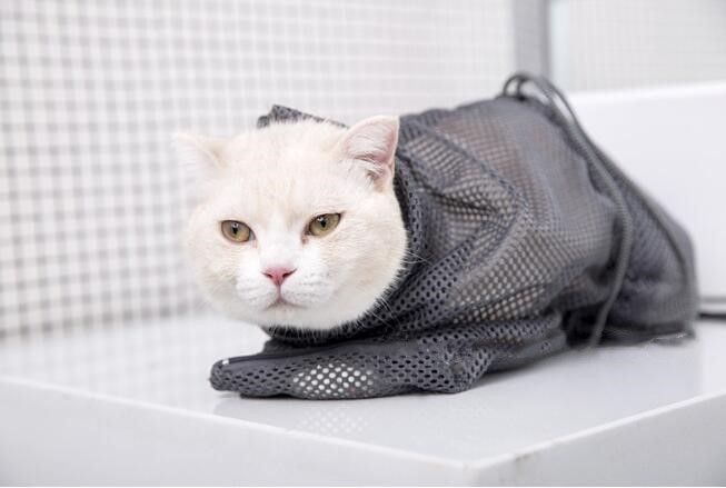 *SG%20seller*%20Adjustable%20Multifunctional%20Pet%20shower%20bag%20Polyester%20Cat%20Washing%20Shower%20Mesh%20Bags%20Pet%20Nail%20Trimming%20Bags%20Bath%20accessories%20tool%20-%20Image%206
