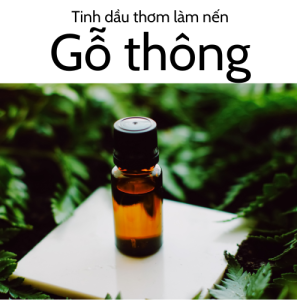 [FREESHIP] Tinh Dầu Thơm Làm Nến Nguyên Liệu Làm Nến Thơm 10ml/50ml/100ml