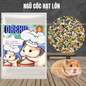 Thức Ăn Hamster 18 Loại Hạt Dinh Dưỡng Mỗi Ngày Cho Bé