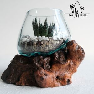 AKUARIUM IKAN CUPANG BIG SIZE 20 CM / KACA TIUP DAN AKAR BALI / AQUASCAPE / AQUARIUM MINI UNIK GLASSWOOD / BETA FISH / WOODEN CRAFT / VASES GLASSWOOD / POT TANAMAN HIAS / SENI BALI / TREND AQUARIUM