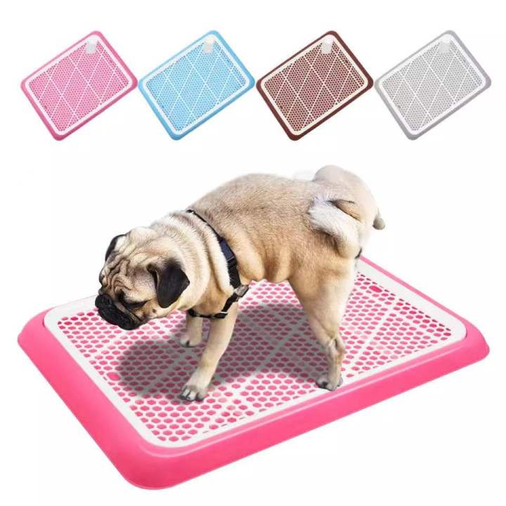 Pug Dog Training Housebreaking A Pug Toilet Potty Train Pug Dog