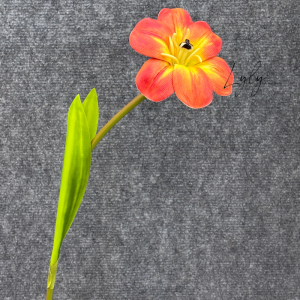 Tulip nở 3D 1 bông cánh cao su hàng nhập cao cấp Bó Hoa decor tiệc quán cà phê sự kiện. Hoa Lụa LyLy Decor
