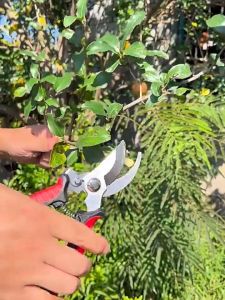 Gardening Shears High Carbon Steel Scissors Branch Cutter Plant Cutter Pruning Shears Garden Tools