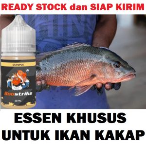ESSEN KHUSUS UNTUK IKAN KAKAP PALING JITU ISI 30ML | BOOSTRIKE OCTOPUS