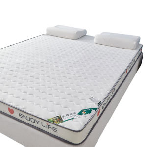 Compressive 8cm Latex + Hard Cotton Mattress / Bed Topper / Premium Compressed Mattress / Hard Mattress