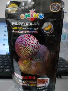 pakan louhan Okiko head platinum SIZE L original / Pelet lohan