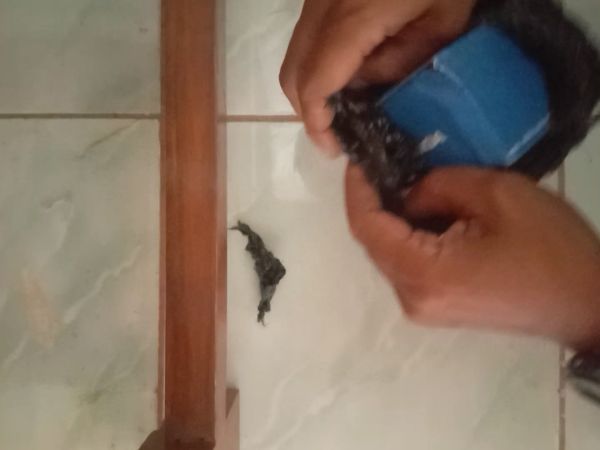 Buyer review video 2