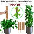 Plant Support Stick Extendable Coco Stick Coco Fiber Pole Climbing Plant Support Batang Tiang Plant Support Moss Pole Coir Moss Stick 30/40/50cm. 