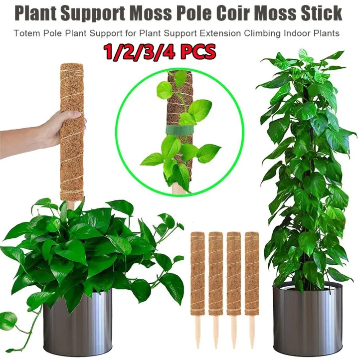 Plant%20Support%20Stick%20Extendable%20Coco%20Stick%20Coco%20Fiber%20Pole%20Climbing%20Plant%20Support%20Batang%20Tiang%20Plant%20Support%20Moss%20Pole%20Coir%20Moss%20Stick%2030/40/50cm%20-%20Image%202