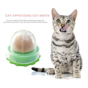 【New Arrival】 Cat Catnip Licking Candy for Kitten Increase Drinking Energy Ball Snack