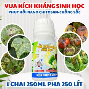 Dung Dịch Sinh Học Oligochitosan 2% + Kasugamycin 2% – Hỗ Trợ Quản Lý Bệnh Trên Cây Trồng