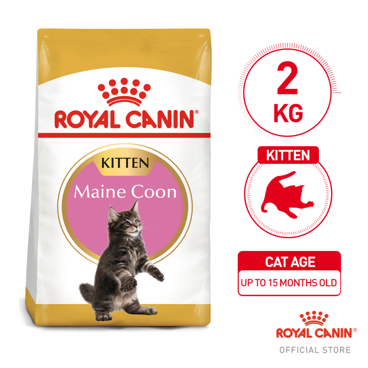 Royal Canin Maine Coon 2kg Kitten Dry Cat Food Feline Breed