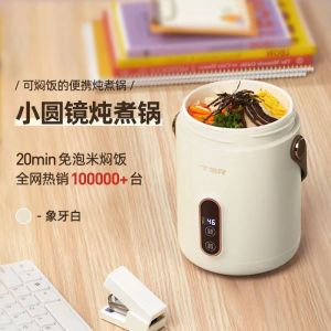 TER 600ML Health Pot Electric Stew Pot Mini Small Portable Office Artifact Can Cooking Rice