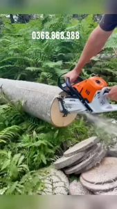 Máy cưa xích chạy xăng KOMASTSU 7900 Nhật Bản Lam Dài 55cm chạy xích 34 mắt - kms68
