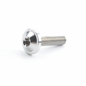 NEXASHOP M6x10 Titanium Bolts with Torx Head M6x20 T30 Torx Bolts High Quality M6x15 Motorcycle Fasteners