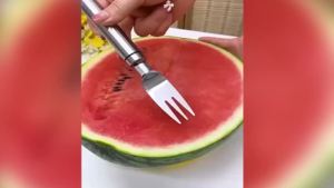 2-In-1 Stainless Steel Fruit Cutter ,2026 New Watermelon Fork Slicer Cutting Tool,Summer Watermelon Cutter Slicer Tool for Home Party Camping Kitchen Gadget (1Pcs)