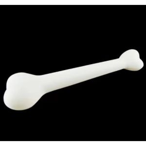 Genuine Product Human Functional Knee Ligament Model Knee Joint Model Orthopedic Teaching Model