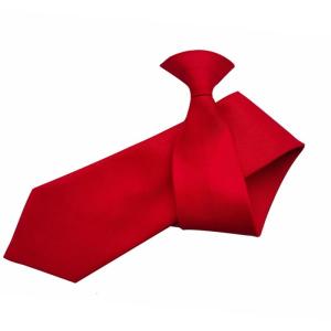 Men Women Student Simple Clip on Tie Plain Solid Color Pre-Tied Necktie for Office School for Police Security Wedding Party Business