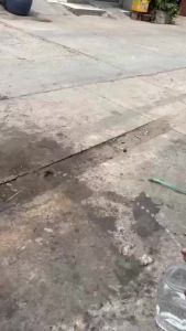 Mô Tơ Bơm Nước Mini DC 6V 9V 12V 15V Áp Lực Cao Cho DIY Máy Phun Sương Tưới Cây