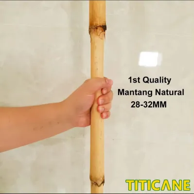 TITICANE Rattan Mantang Natural Stick [ 54 INCH ] [ 28-32mm ]
