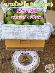 มะนาวแป้นรำไพ เปลือกบาง น้ำเยอะ ผิวลาย ยกลัง 4 กิโลกรัม คละไซส์
