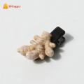 ZGOKTC Màu trơn Kẹp tóc rau củ Mini SÚP LƠ Kẹp tóc mái bên thực phẩm Thời trang Tỏi Kẹp tóc vui nhộn Nữ. 
