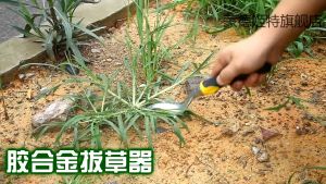 Dandelion Weeder Puller Tool with Soft Handle Polished Stainless Steel Garden Weed Remover Tool Two-Pronged Fork Weeder Tool