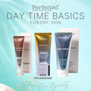 Perfected - Day Time Skincare Routine (Beauty Salve Aqua Depuff Niacinamide Moisturizer)