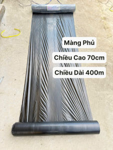 Màng Phủ Rộng 70cm Dài 400m ( Dùng trong trồng cây ươm cây xây dựng ).