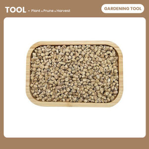 麦饭石颗粒营养多肉植物铺面拌土专用花盆栽种植上色控养根 Maifanshi granules nutritious succulent plant pavement mixed with soil special flower pot