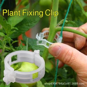 Vine Support Clip Vine Binding Clip Vine Hanging Clip Green Plant Clip Vine Fixing Clip Pepper And Eggplant Fixing Device Seedling Plant Clip Reusable Clip Cranberry Clip
