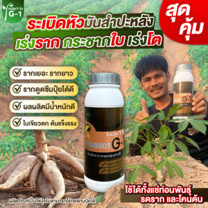 โกรว์รูธ จีวันน้ำยาเร่งราก มันสัมปะหลัง พร้อมส่ง แบบผงไม่ต้องผสมเยอะใช้คุ้ม สารสกัดสูตรเข้มข้น เร่งรากมันได้ดี Growroot G1 เร่งใบ กระตุ้นการแตกใบอ่อน แช่เมล็ดเร่งรากได้ดี