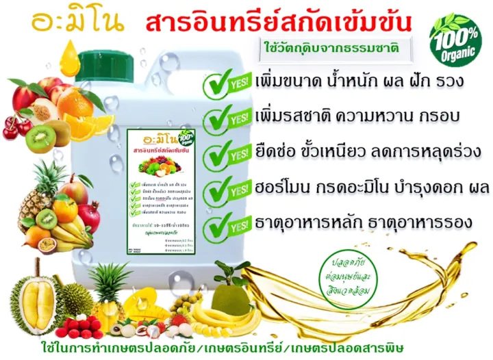 อะมิโน แอซิค น้ำตาลทางด่วน เร่งผลผลิต เพิ่มขนาด