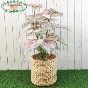 Pohon Imitasi Artificial Daun Calladium Pink Semilatex Cover Eceng Gondok Dekorasi Ruang Tamu